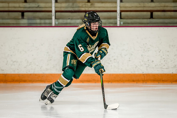 Chisago vs Forest Lake JV Hockey 23