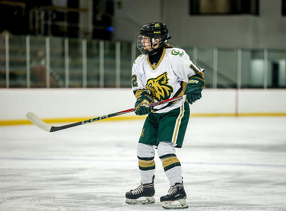 Chisago vs Rogers Varsity Hockey 357