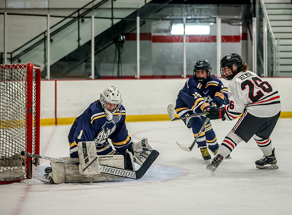 Centennial vs Rosemount JV Hockey 89