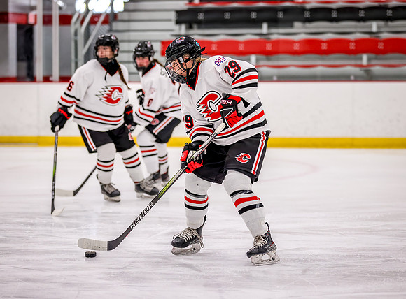 Centennial vs Holy Angels JV Hockey 14