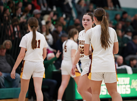 Mounds View vs Forest Lake Varsity Basketball 259