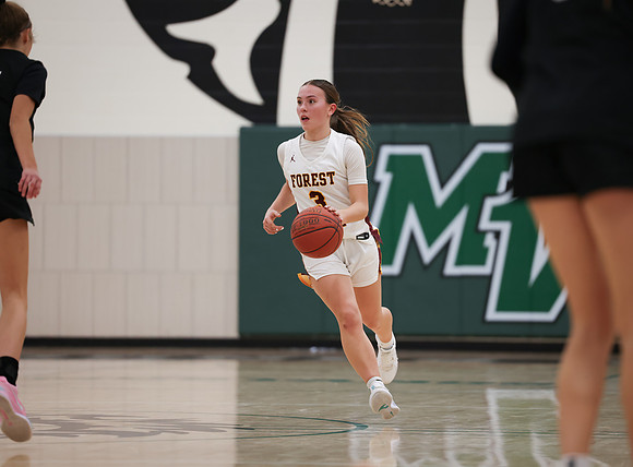 Mounds View vs Forest Lake Varsity Basketball 171