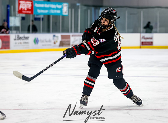 Centennial vs Roger Girls Varsity Hockey 15