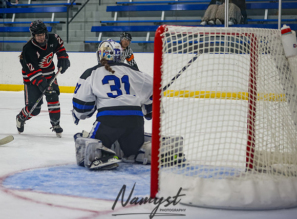 Centennial vs Roger Girls Varsity Hockey 88