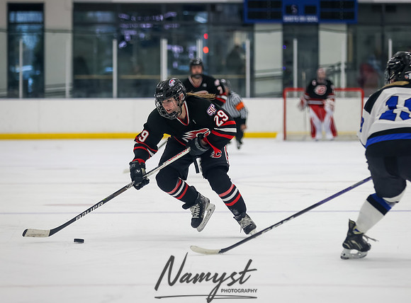 Centennial vs Roger Girls Varsity Hockey 99