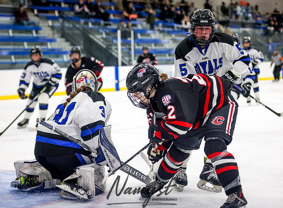 Centennial vs Roger Girls Varsity Hockey 205