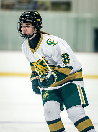 Chisago vs Rogers Varsity Hockey 325
