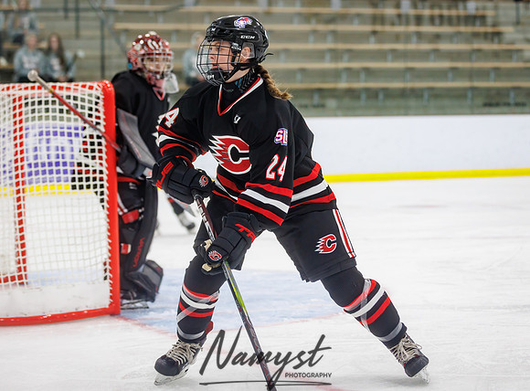 Centennial vs Andover JV Hockey 4