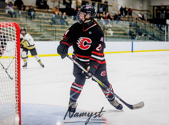 Centennial vs Andover JV Hockey 13