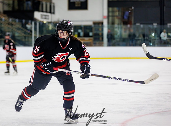 Centennial vs Andover JV Hockey 16