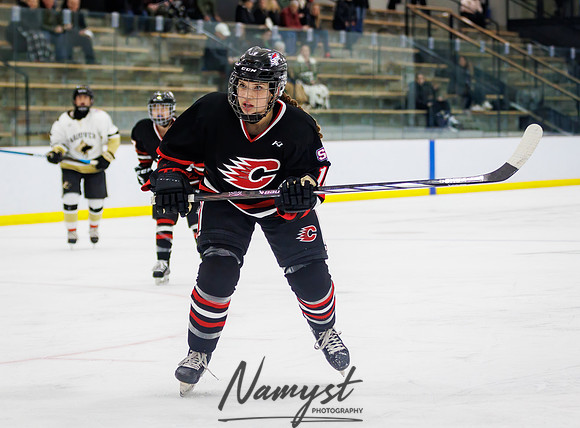 Centennial vs Andover JV Hockey 22