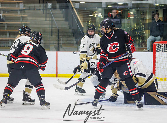 Centennial vs Andover JV Hockey 34