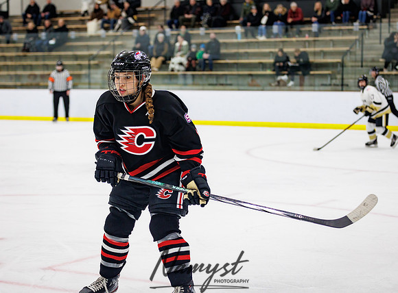 Centennial vs Andover JV Hockey 51