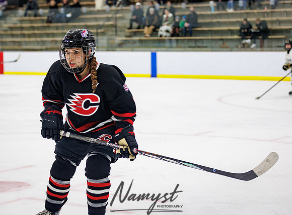 Centennial vs Andover JV Hockey 52