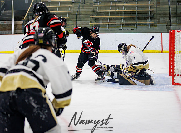 Centennial vs Andover JV Hockey 53