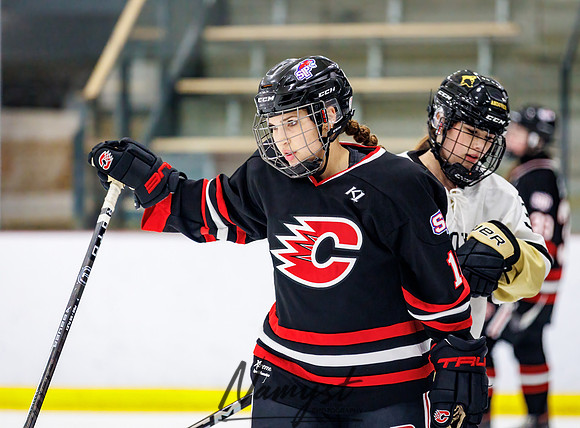 Centennial vs Andover JV Hockey 56
