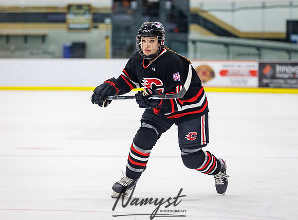 Centennial vs Andover JV Hockey 61