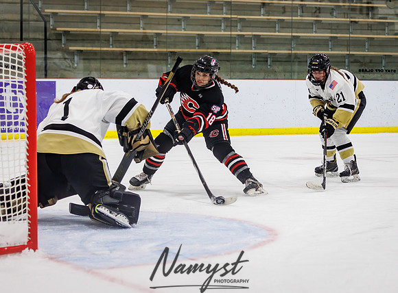 Centennial vs Andover JV Hockey 66