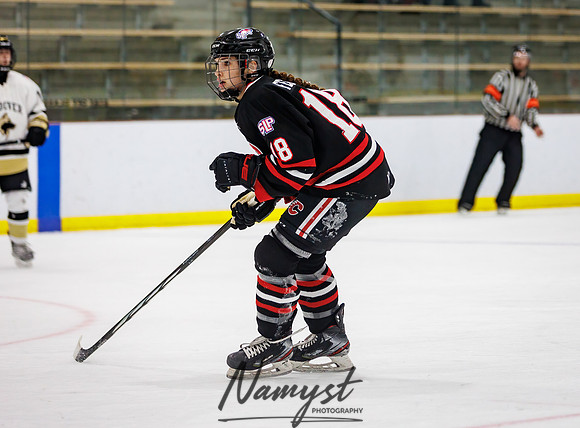Centennial vs Andover JV Hockey 79
