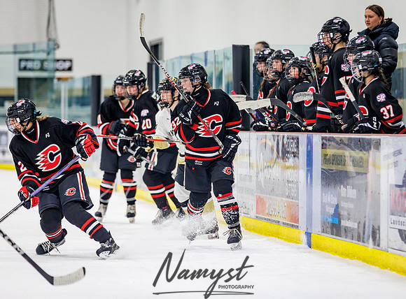 Centennial vs Andover JV Hockey 83