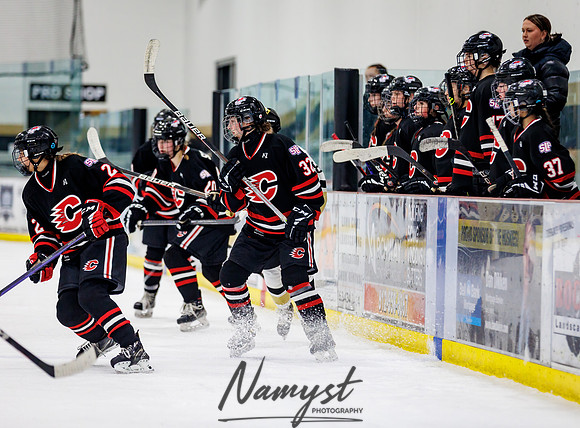 Centennial vs Andover JV Hockey 84