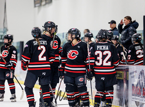 Centennial vs Andover JV Hockey 87