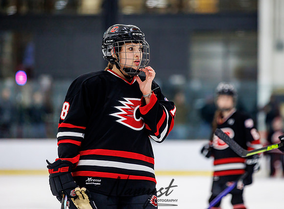 Centennial vs Andover JV Hockey 88