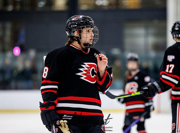 Centennial vs Andover JV Hockey 89