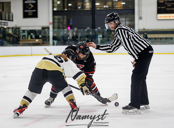 Centennial vs Andover JV Hockey 91