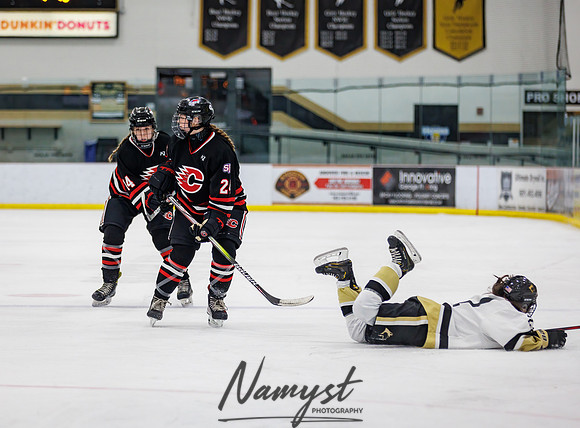 Centennial vs Andover JV Hockey 94