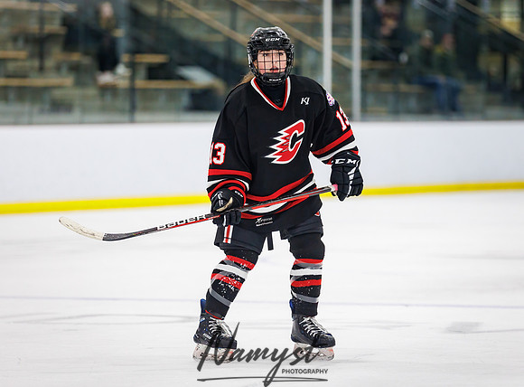 Centennial vs Andover JV Hockey 95