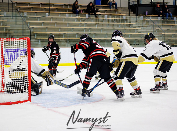 Centennial vs Andover JV Hockey 100