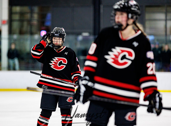 Centennial vs Andover JV Hockey 110