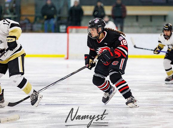 Centennial vs Andover JV Hockey 126