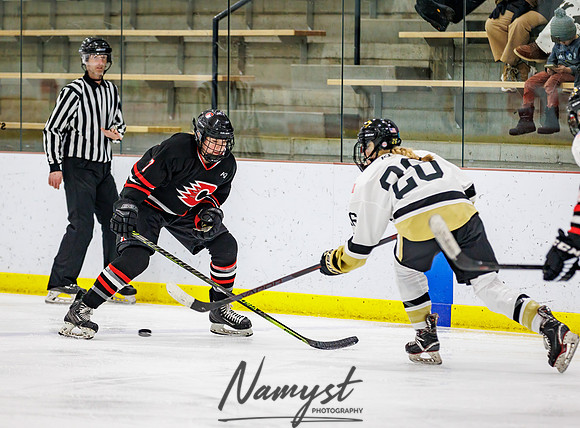 Centennial vs Andover JV Hockey 136