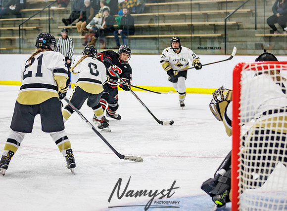 Centennial vs Andover JV Hockey 142