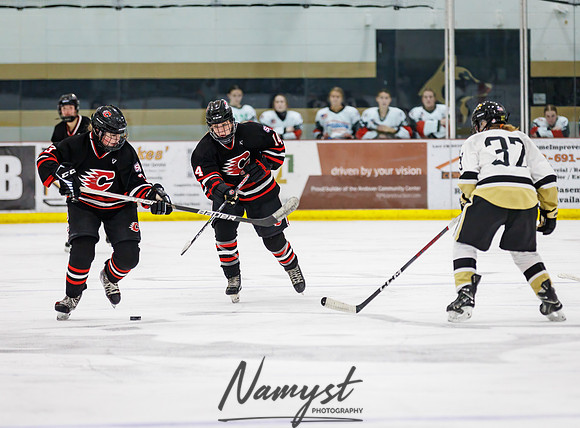 Centennial vs Andover JV Hockey 160