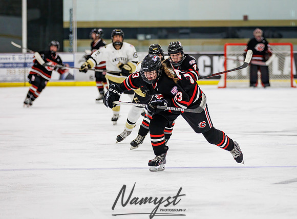 Centennial vs Andover JV Hockey 162