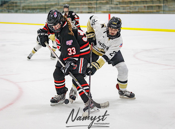 Centennial vs Andover JV Hockey 166