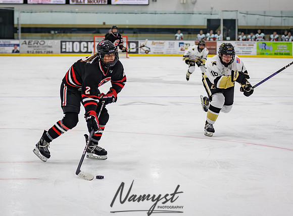 Centennial vs Andover JV Hockey 171