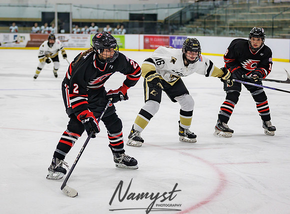 Centennial vs Andover JV Hockey 173