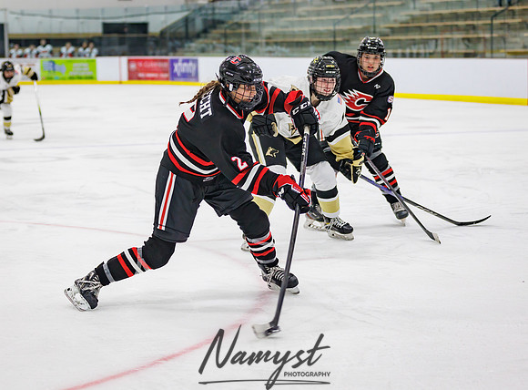 Centennial vs Andover JV Hockey 174