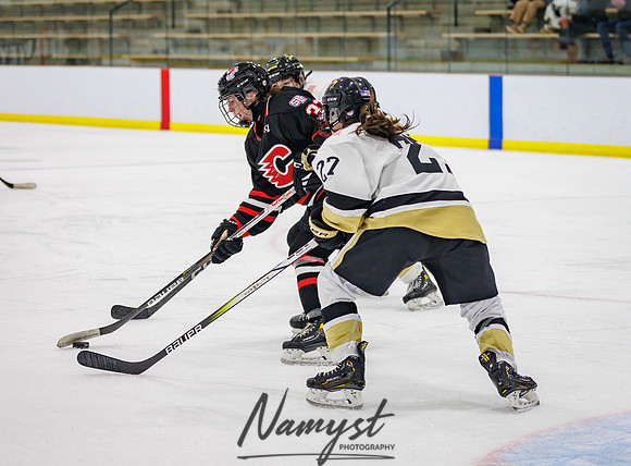 Centennial vs Andover JV Hockey 177