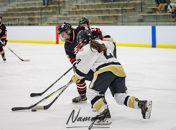Centennial vs Andover JV Hockey 178