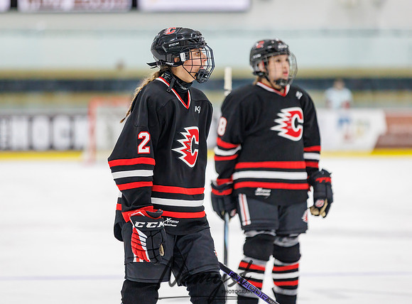 Centennial vs Andover JV Hockey 179