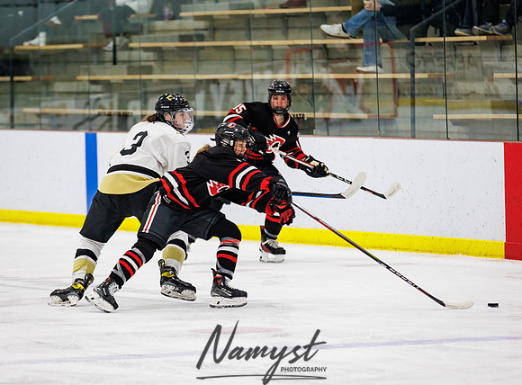 Centennial vs Andover Varsity Hockey 101