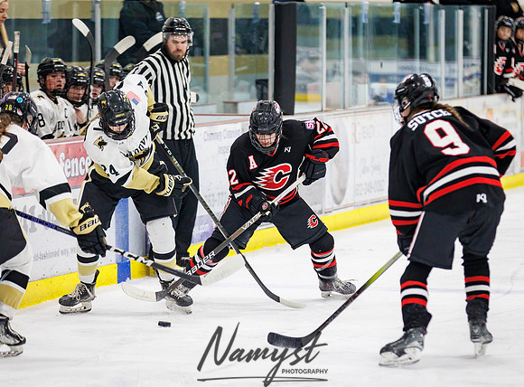 Centennial vs Andover Varsity Hockey 100