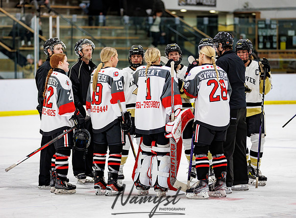 Centennial vs Andover Varsity Hockey 10