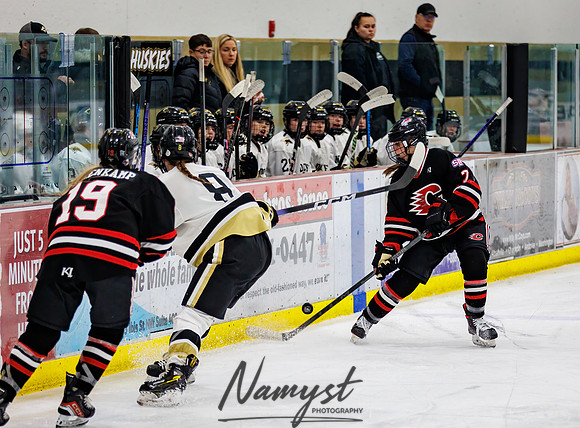 Centennial vs Andover Varsity Hockey 119