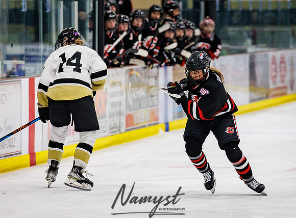 Centennial vs Andover Varsity Hockey 122